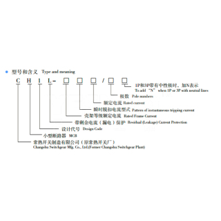 CH1L 微型漏电保护断路器