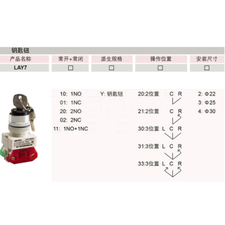 LAY7系列 钥匙钮