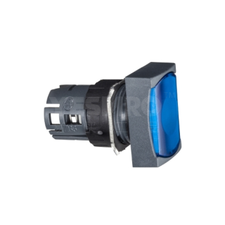 ZB6AF、ZB6CF、ZB6DF系列自锁带灯按钮头