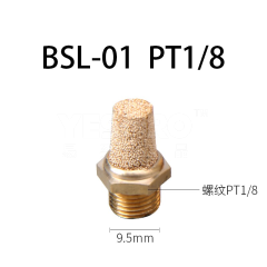 BSL系类全铜消音器