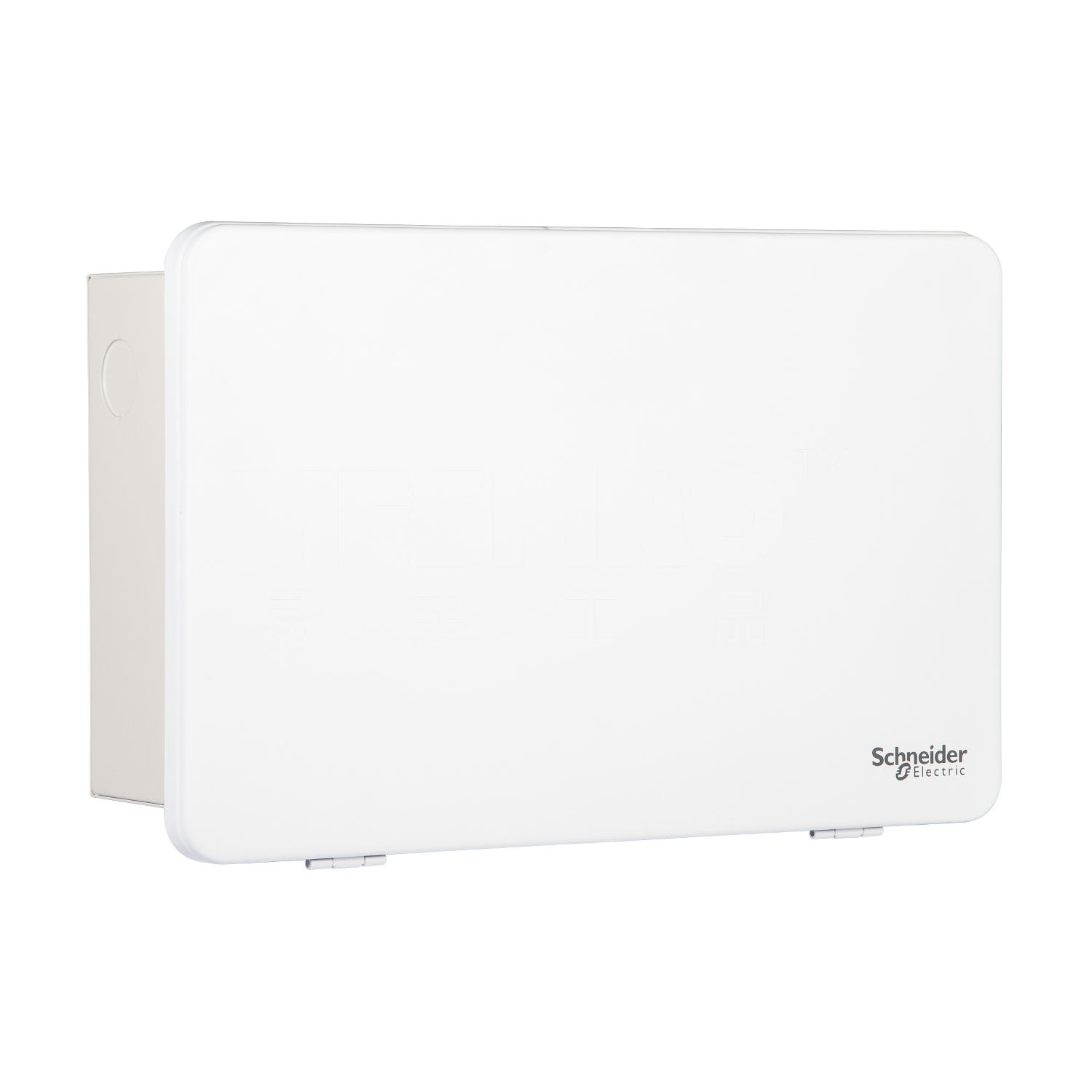 施耐德 Schneider 天朗TL系列终端配电箱