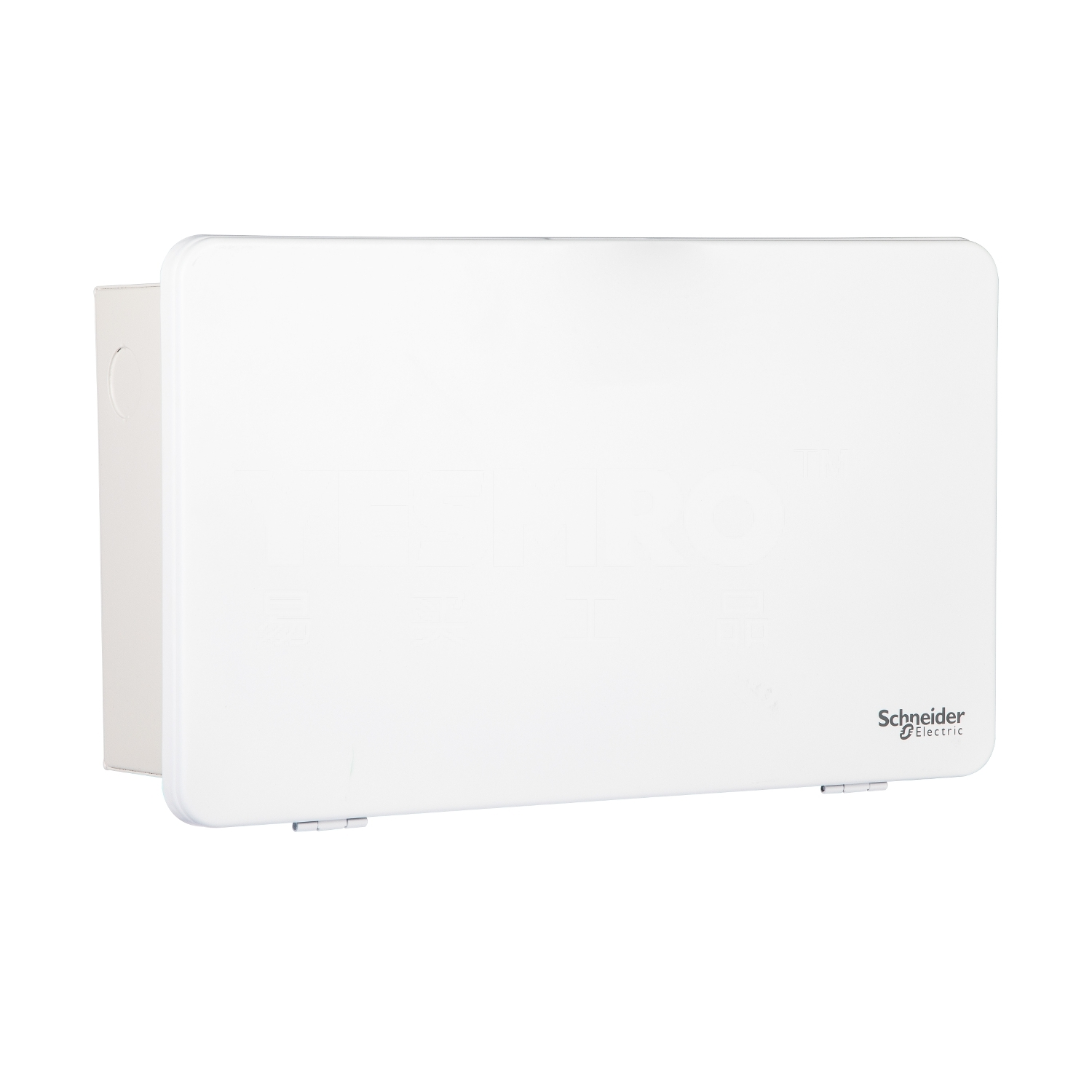 施耐德 Schneider 天朗TL系列终端配电箱