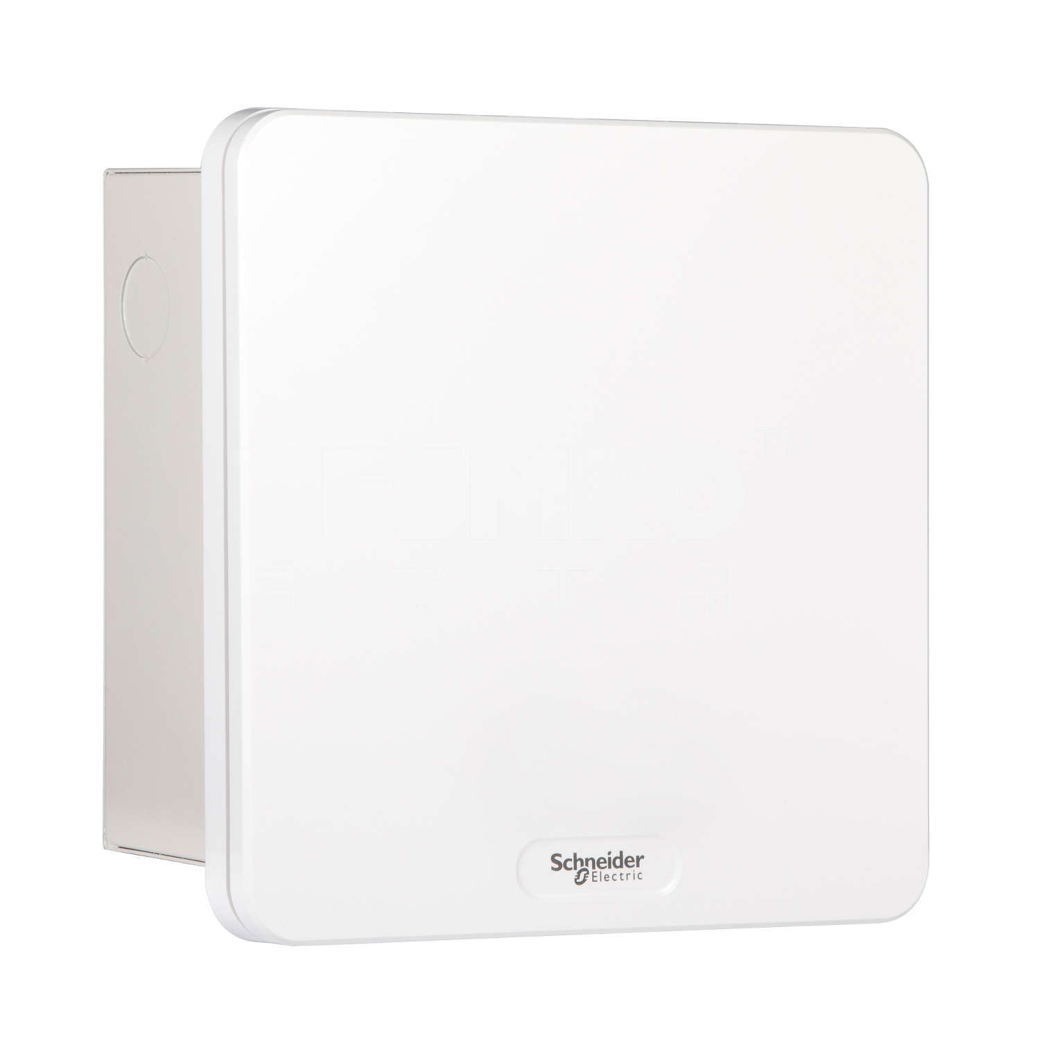 施耐德 Schneider 天朗TL系列终端配电箱