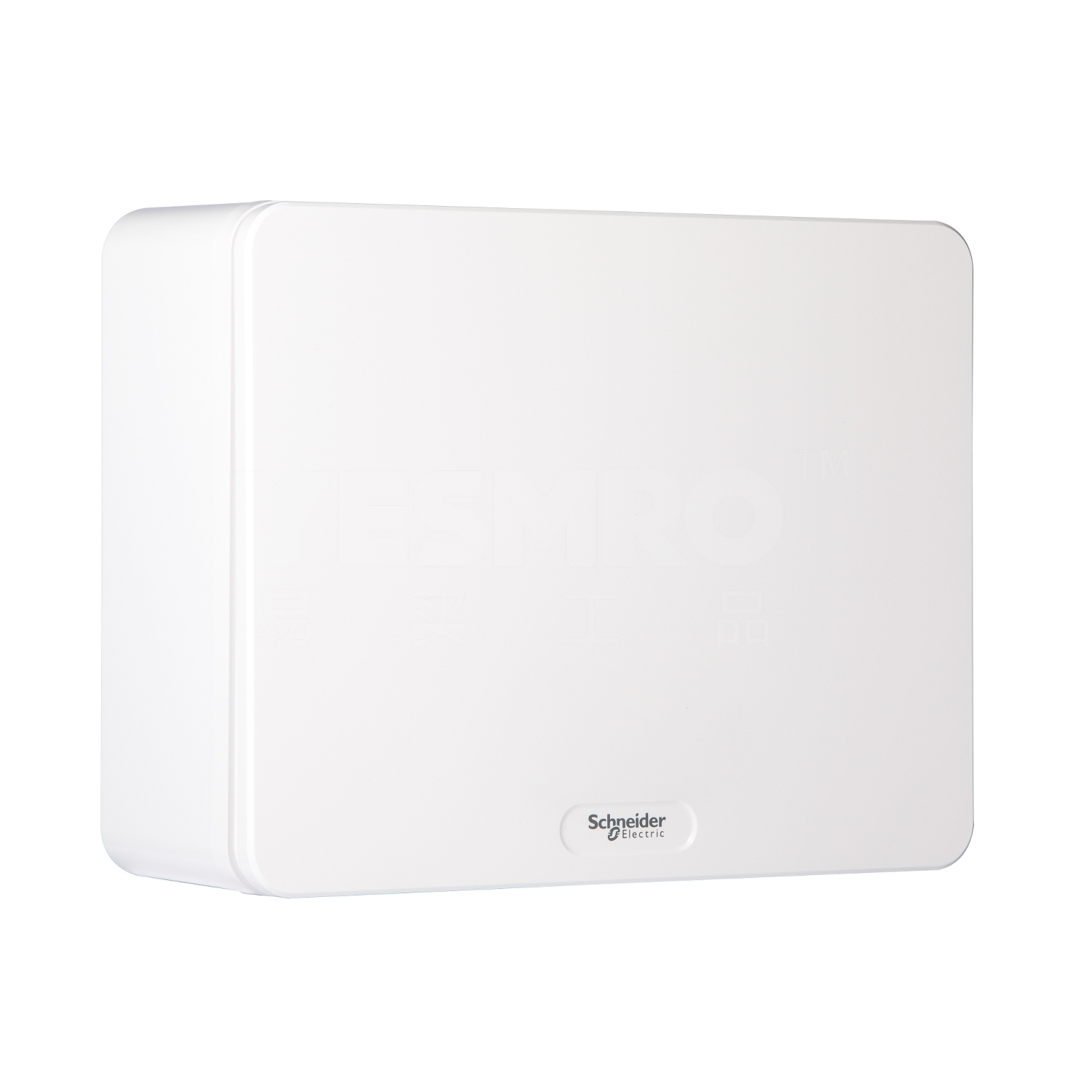 施耐德 Schneider 天朗TL系列终端配电箱