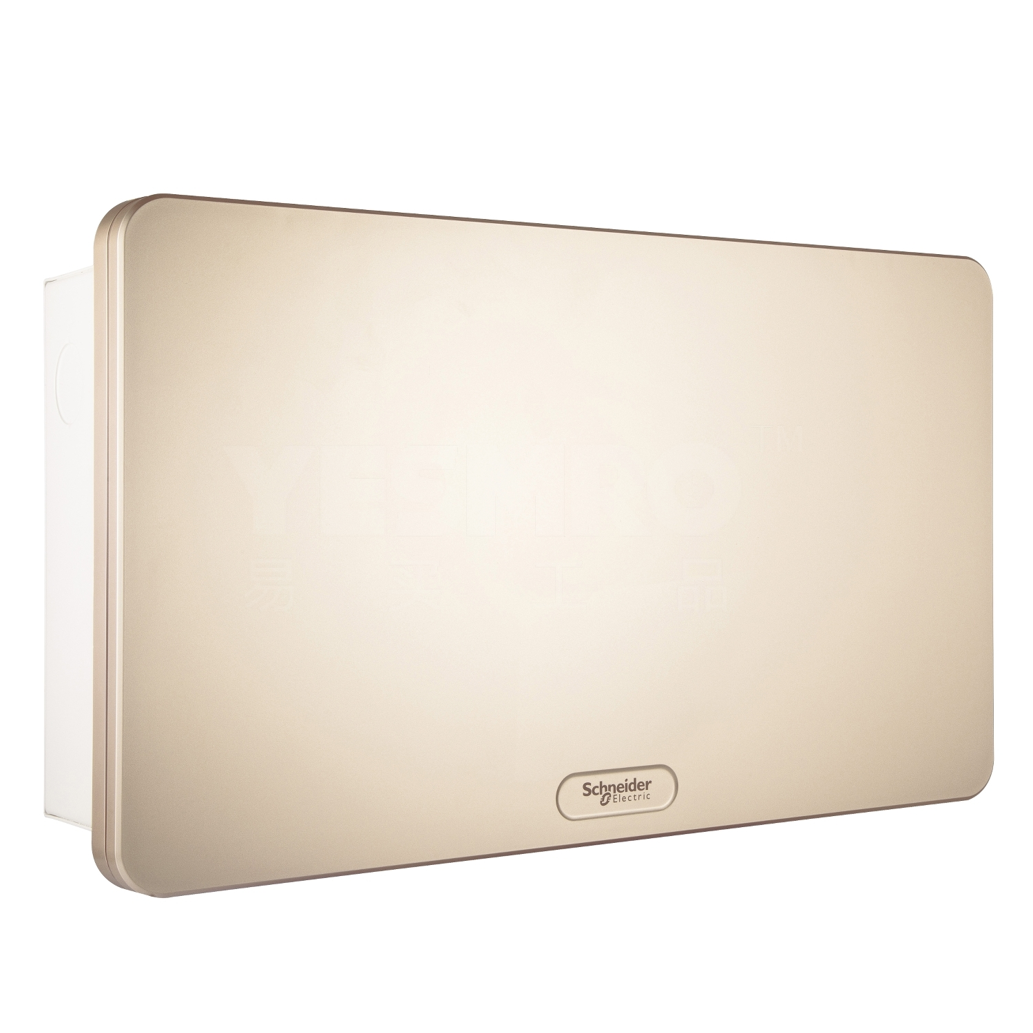 施耐德 Schneider 天朗TL系列终端配电箱