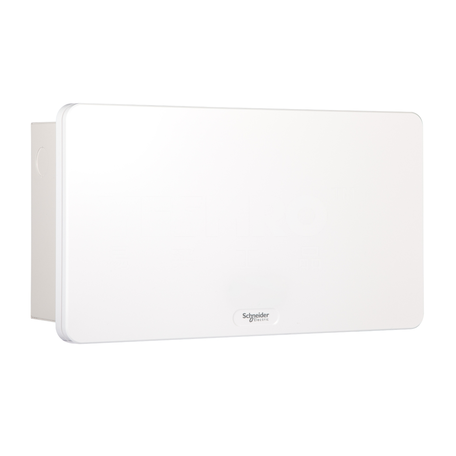 施耐德 Schneider 天朗TL系列终端配电箱