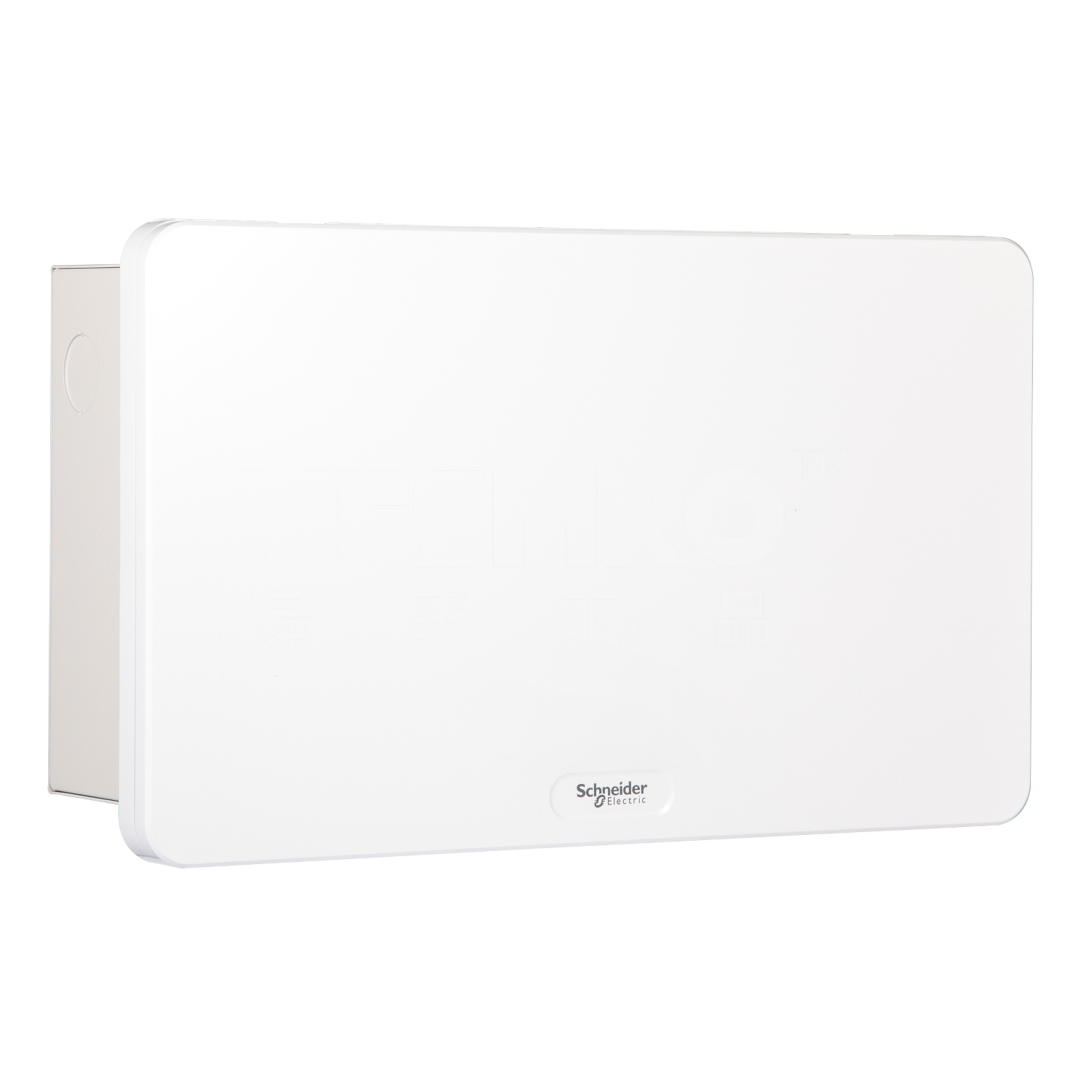 施耐德 Schneider 天朗TL系列终端配电箱