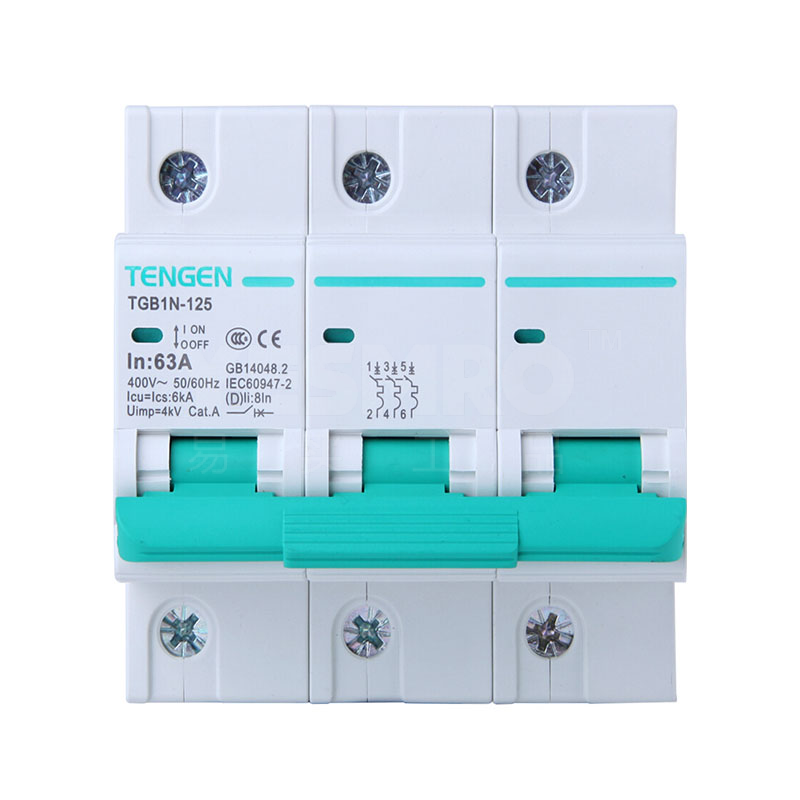 天正 TENGEN TGB1N-125系列塑料外壳式断路器