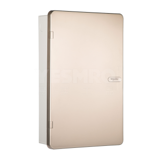 施耐德 Schneider 天朗TL系列终端配电箱