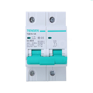 天正 TENGEN TGB1N-125系列塑料外壳式断路器